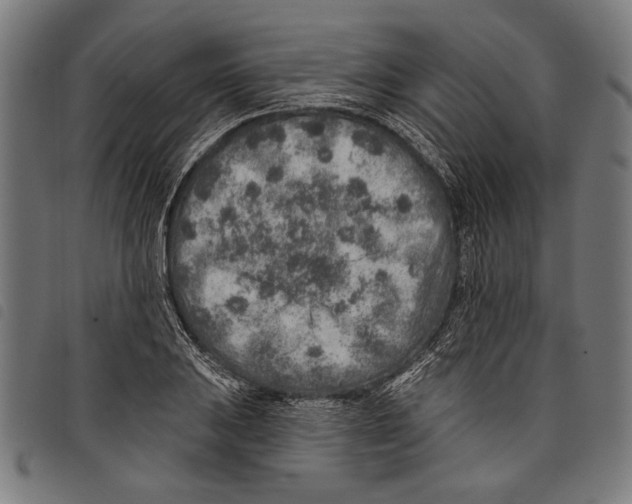 X0000097771031200804041148