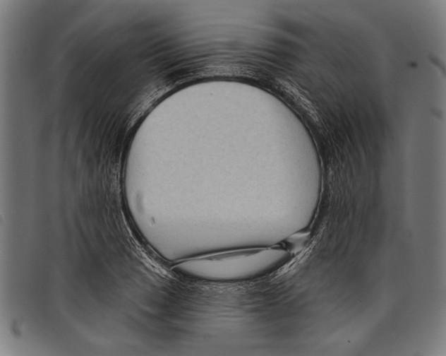 X0000097771033200804041148