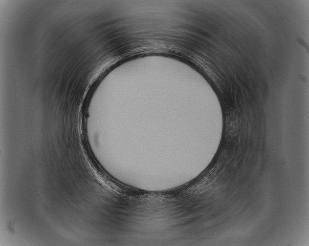 X0000097771034200804041148