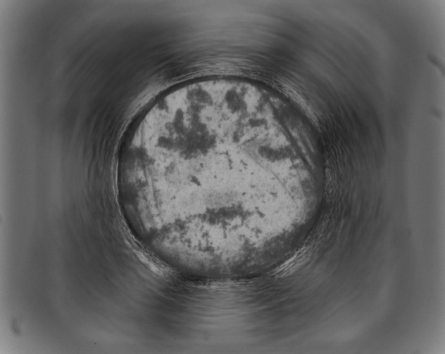 X0000097771035200804041148