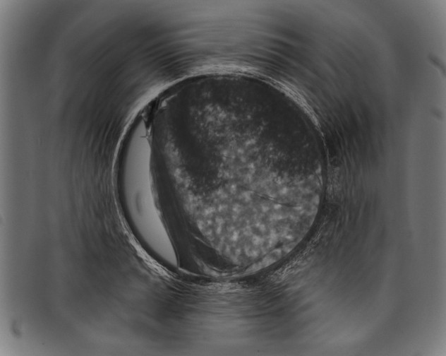 X0000097771037200804041148