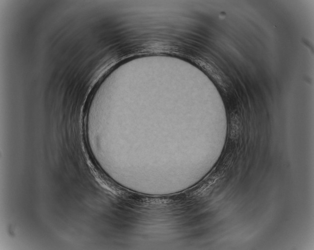 X0000097771039200804041148