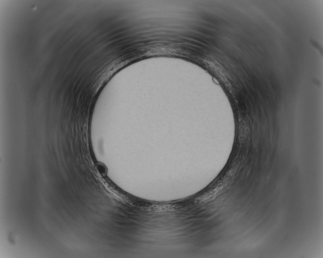 X0000097771041200804041148