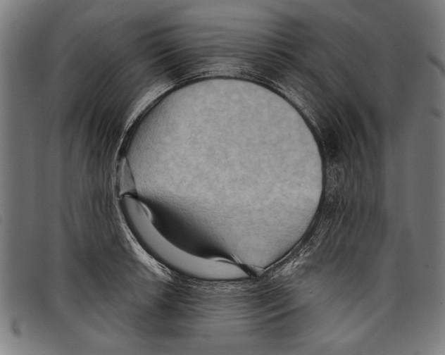 X0000097771042200804041148