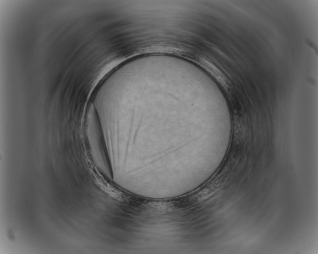 X0000097771044200804041148
