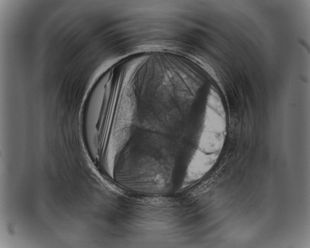 X0000097771045200804041148