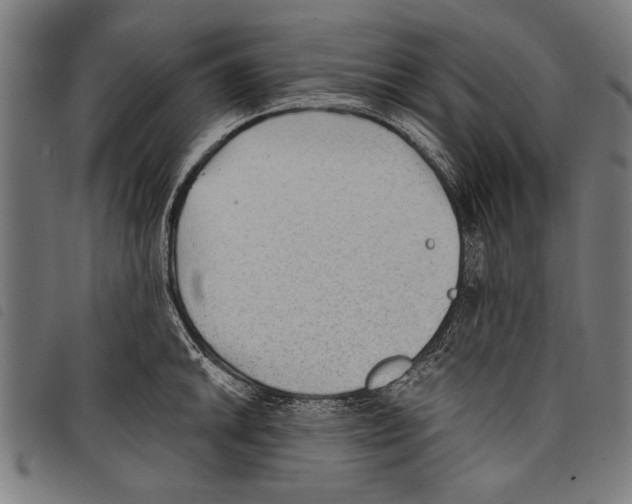 X0000097771046200804041148