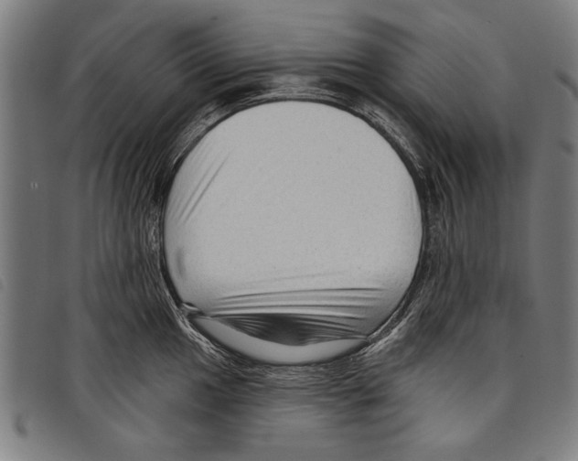 X0000097771049200804041148