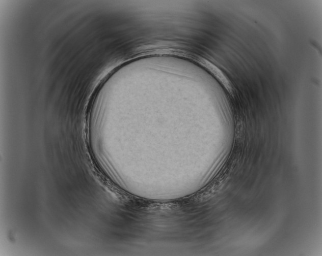 X0000097771051200804041148