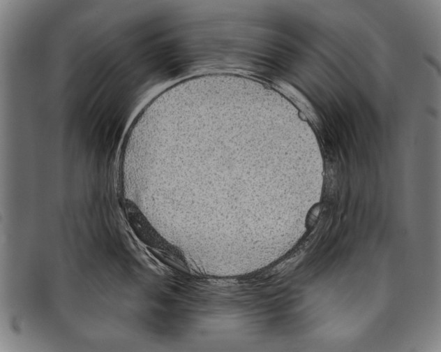 X0000097771052200804041148