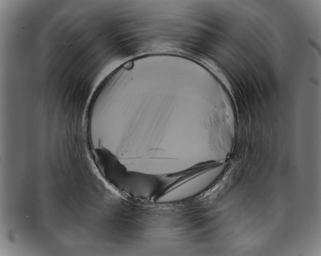 X0000097771053200804041148