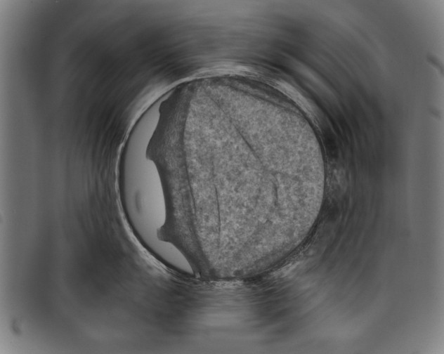 X0000097771055200804041148