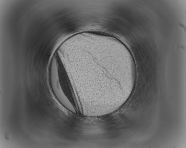 X0000097771056200804041148