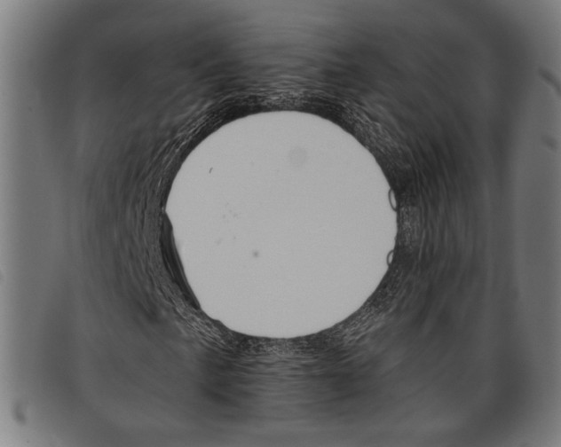 X0000097771057200804041147