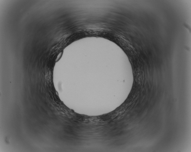X0000097771061200804041147
