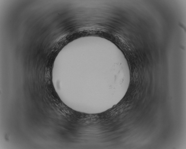 X0000097771062200804041147