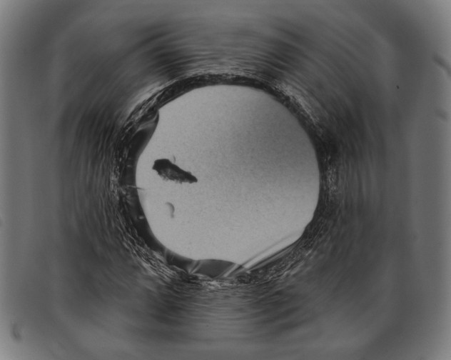 X0000097771064200804041147
