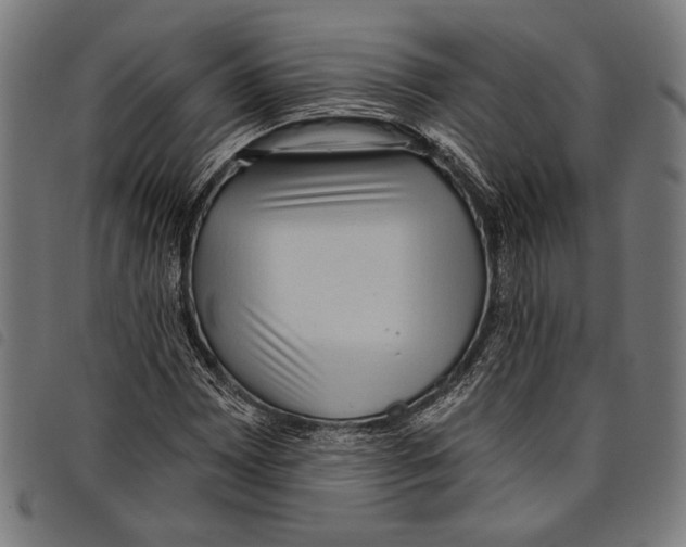 X0000097771065200804041147