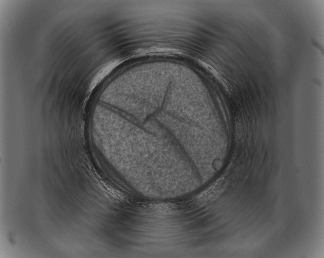 X0000097771066200804041147