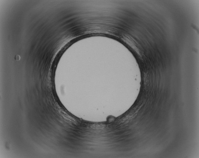 X0000097771068200804041147