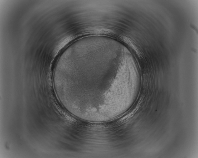X0000097771071200804041147