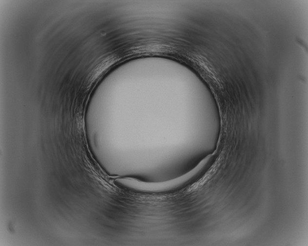 X0000097771073200804041147