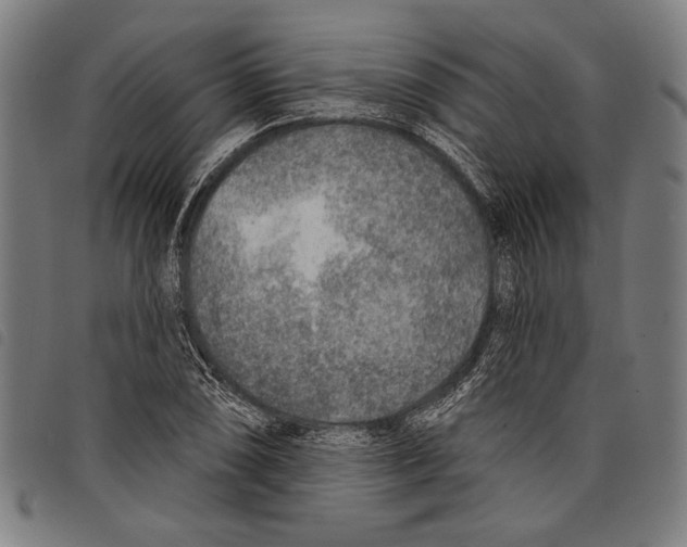 X0000097771074200804041147