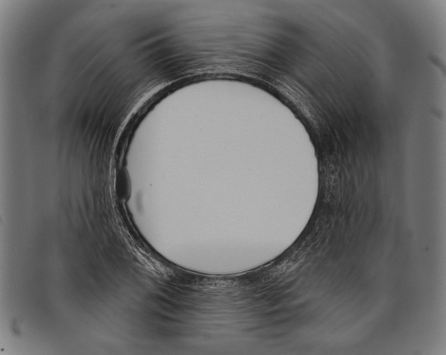 X0000097771076200804041147