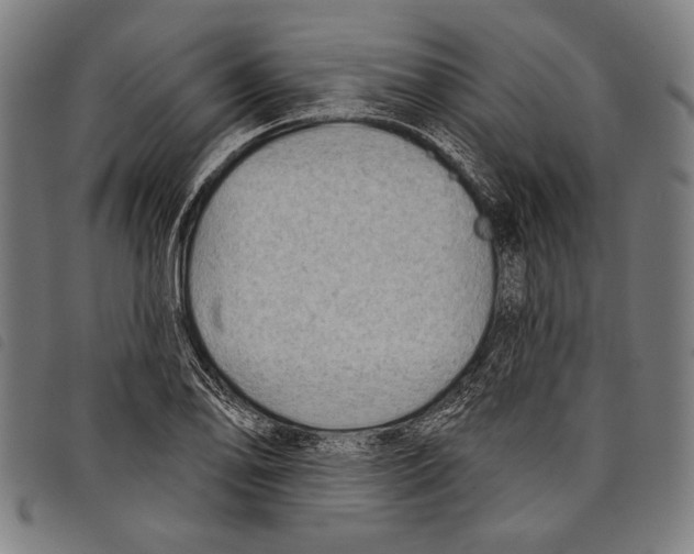 X0000097771078200804041147