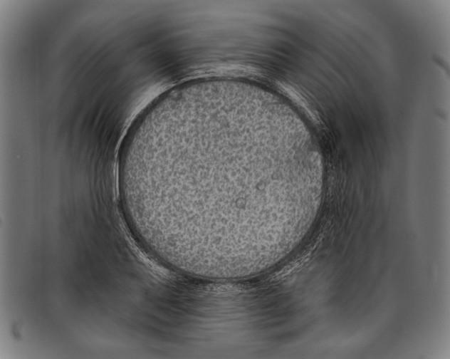 X0000097771079200804041147