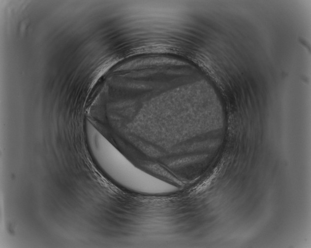 X0000097771081200804041147