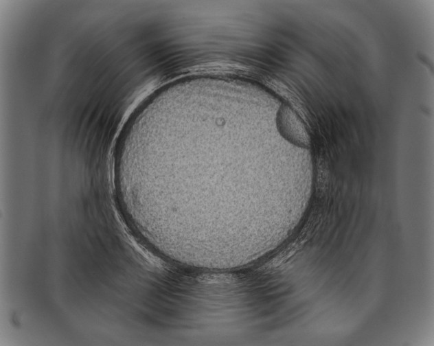 X0000097771083200804041147