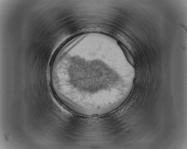 X0000097771084200804041147