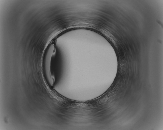 X0000097771085200804041147