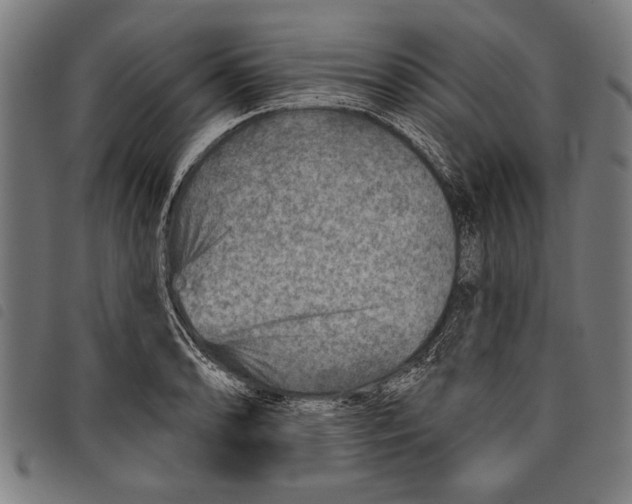 X0000097771086200804041147