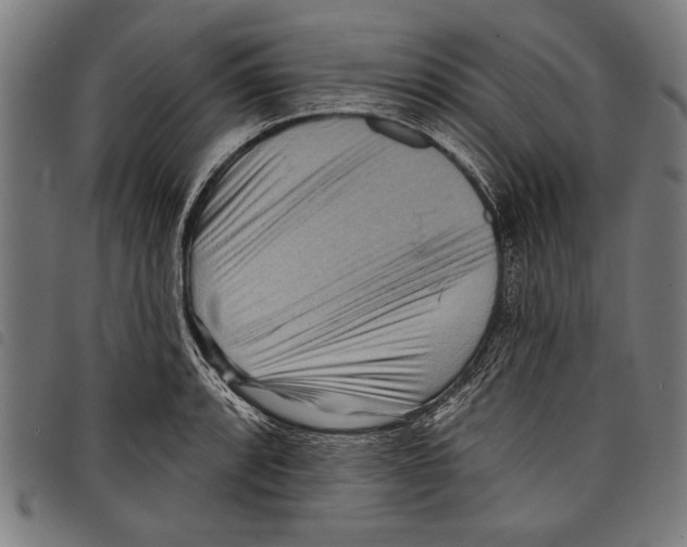 X0000097771088200804041147