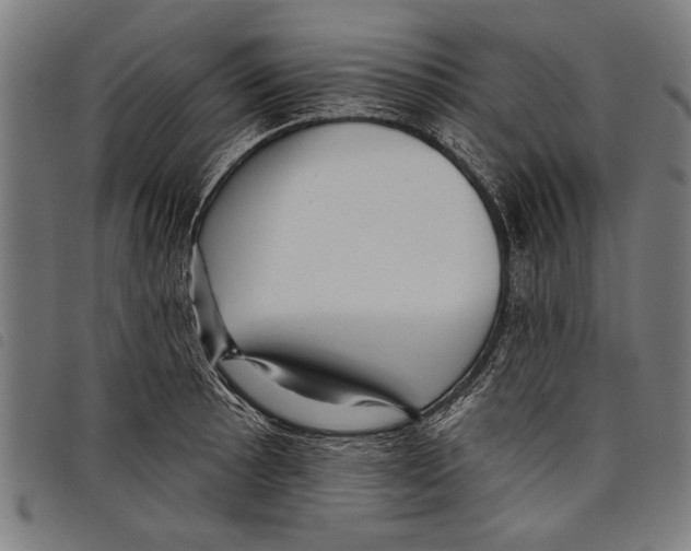 X0000097771089200804041147