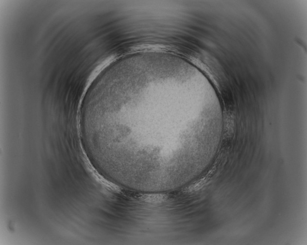 X0000097771090200804041147