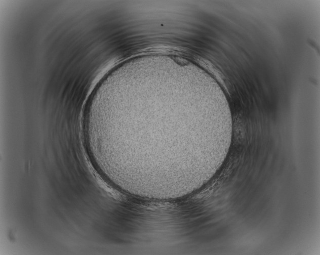 X0000097771091200804041147