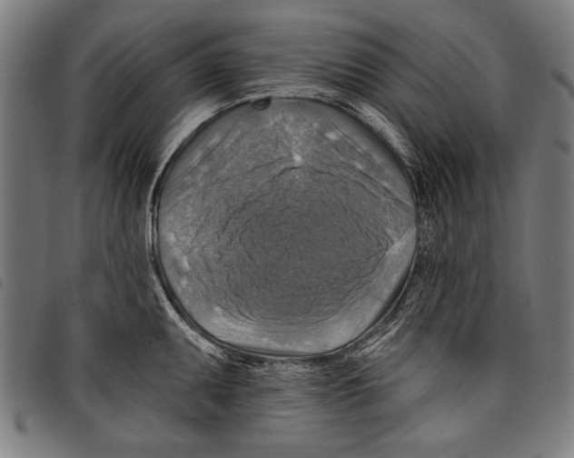 X0000097771095200804041147