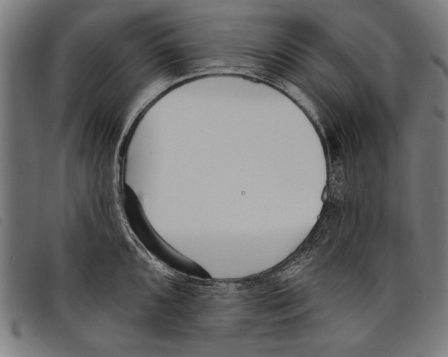 X0000097771096200804041147