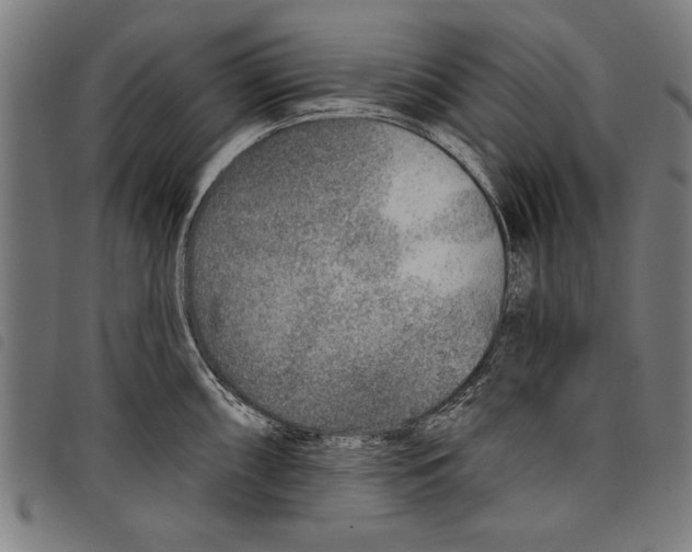 X0000097771098200804041147