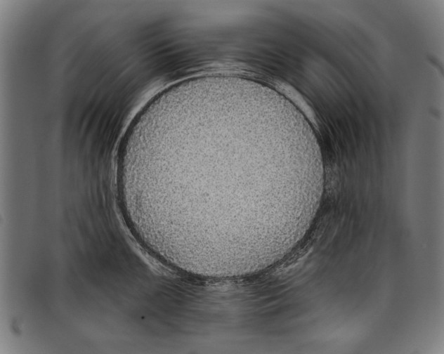 X0000097771099200804041147