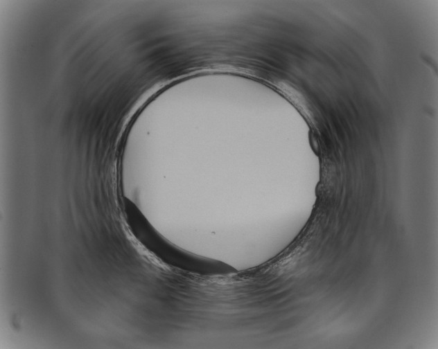 X0000097771100200804041147
