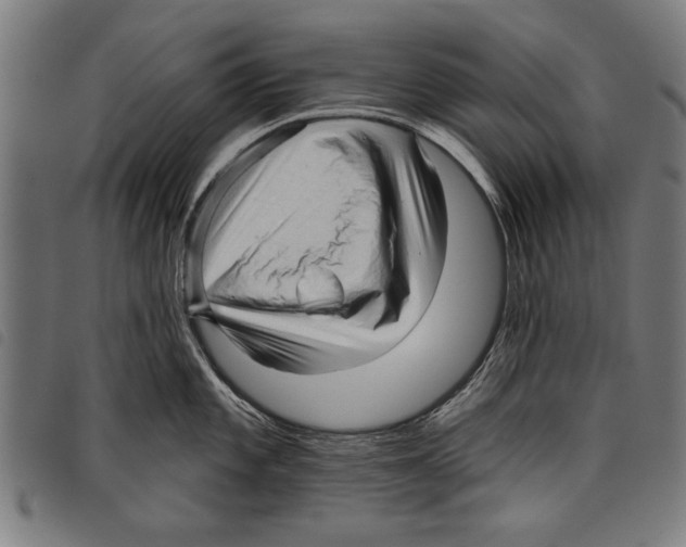 X0000097771101200804041147