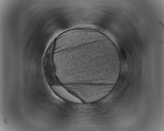 X0000097771102200804041147
