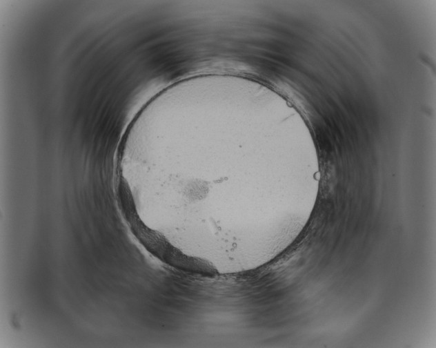X0000097771103200804041147