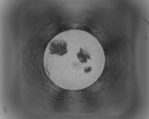 X0000097771105200804041146