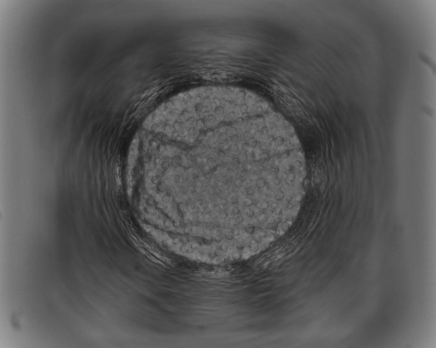 X0000097771106200804041146
