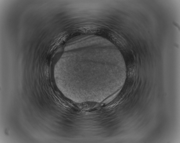 X0000097771108200804041146